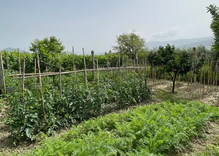 Pansiyon Mance Berat