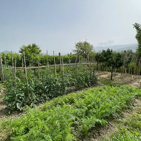 Privatunterkunft Mance Berat