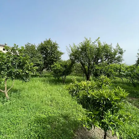 Privatunterkunft Mance *